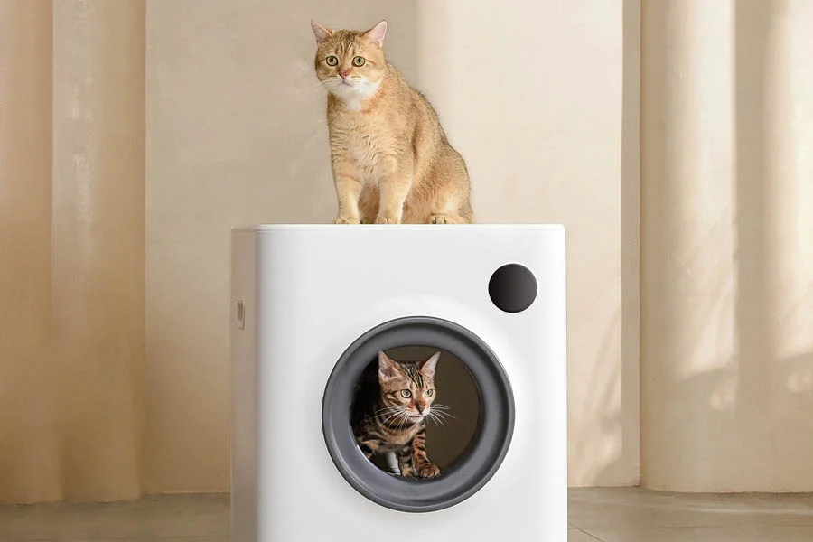 odor free litter box