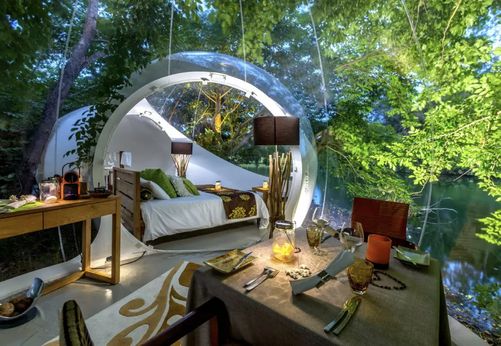 night sky bubble tent